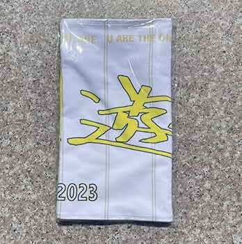 上地雄輔 遊助 羞恥心 グッズまとめ売り レア ライブグッズ Amazon.co.jp: 遊助 LIVE TOUR 2023 会場限定 メッセージタオル